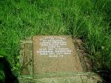 image of grave number 393658